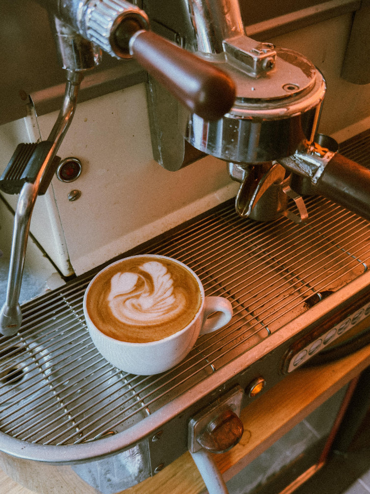Coffee with Swan